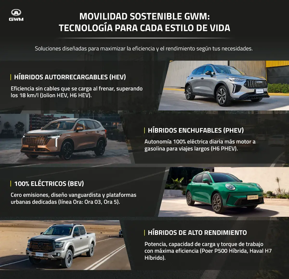 Movilidad urbana sustentable: los modelos de GWM