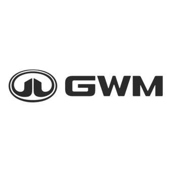 Bases Encuesta Clientes GWM